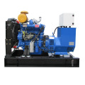 Serie Ricardo 20KVA 30KVA 40KVA 50KVA Factory Supply AC Tres fase Generadores de generadores Precio